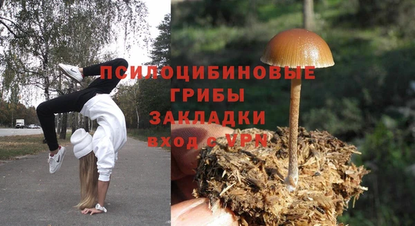 кокс Абаза