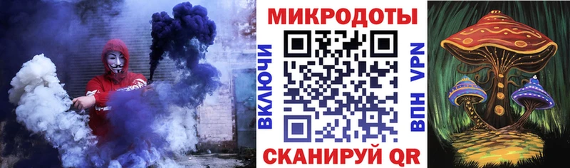Галлюциногенные грибы Psilocybe Котлас