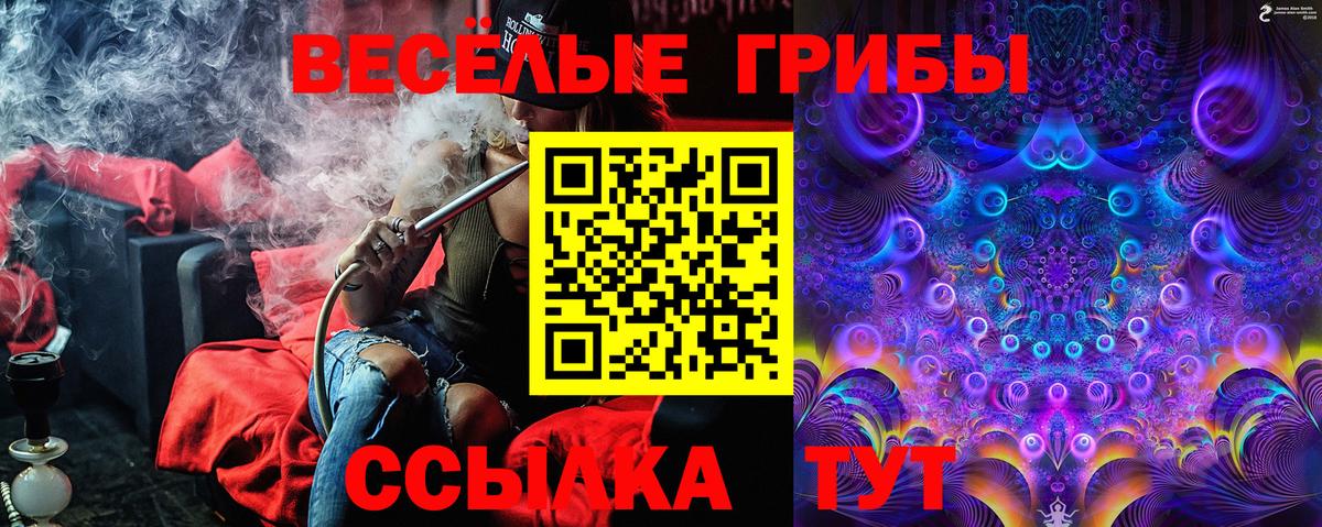 Галлюциногенные грибы мухоморы  Вход с VPN  Котлас 